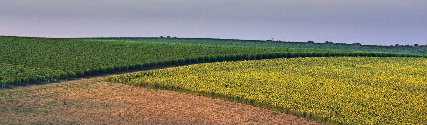 Moorabool Shire Sustainable Environment Strategy