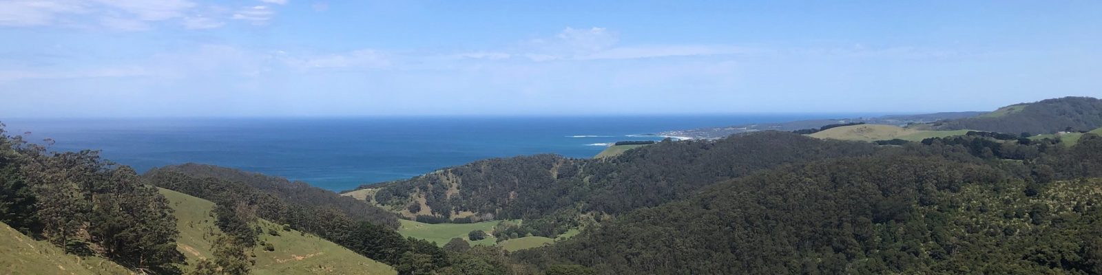 Otways – Skenes Ck_T.Wallis_IMG_5276