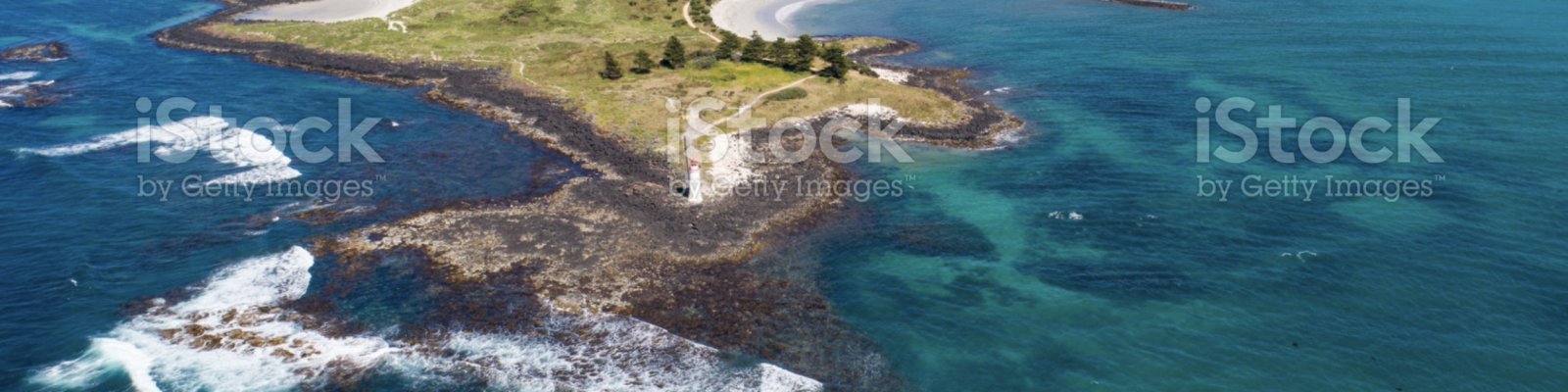 Screen Shot 2021-12-17 at 11.45.07 am