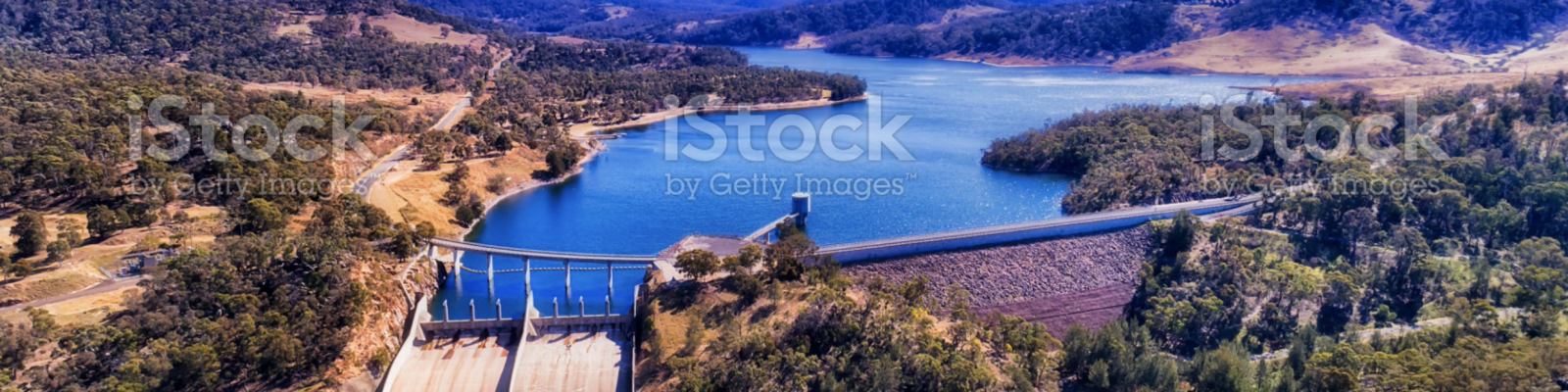 Screen Shot 2021-12-17 at 11.50.02 am