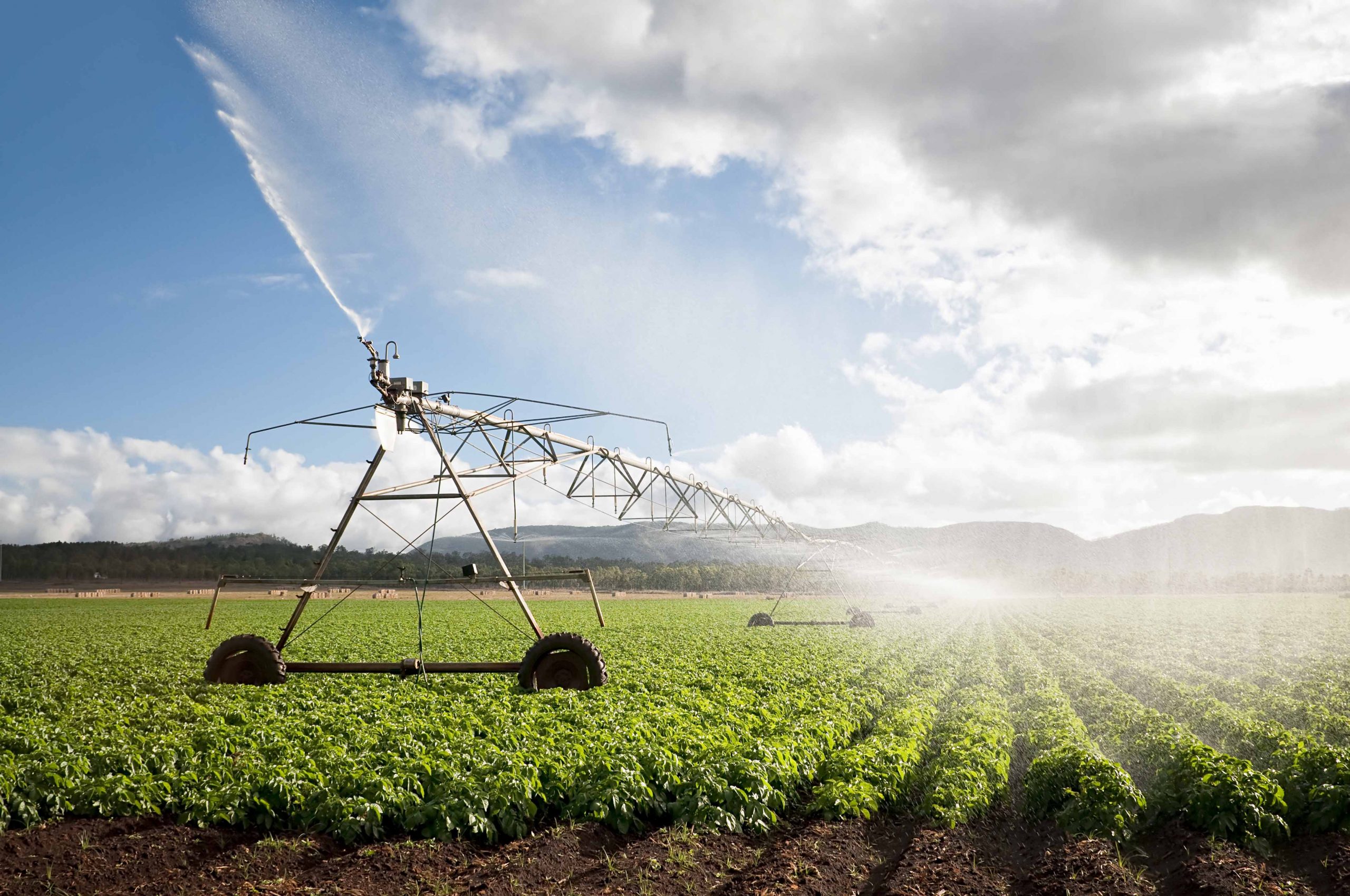 Irrigation using recycled water has become more prominent in Victoria. 