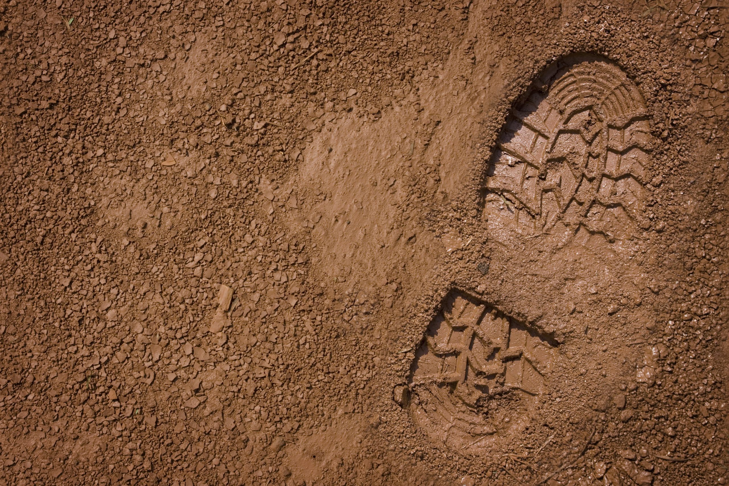 Farming footprint in muddy soil